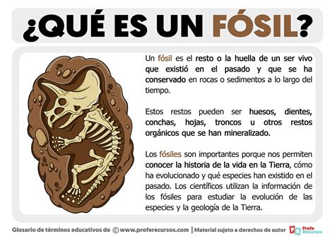 concepto de fosil.